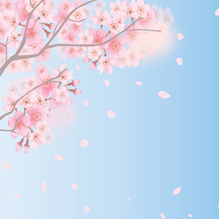 spring-background-4035402_1920.jpg