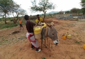 매일 물을 찾아 떠나는 케냐 소녀들